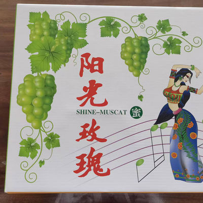 قیمت مناسب جعبه های بسته بندی کارتونی با قدرت بالا کارخانه تخصصی کارتونی لوله دار سفارشی آنلاین